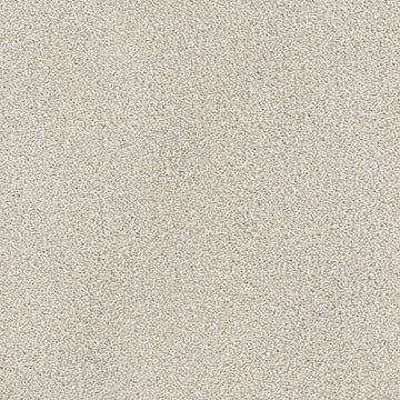 Parchment
