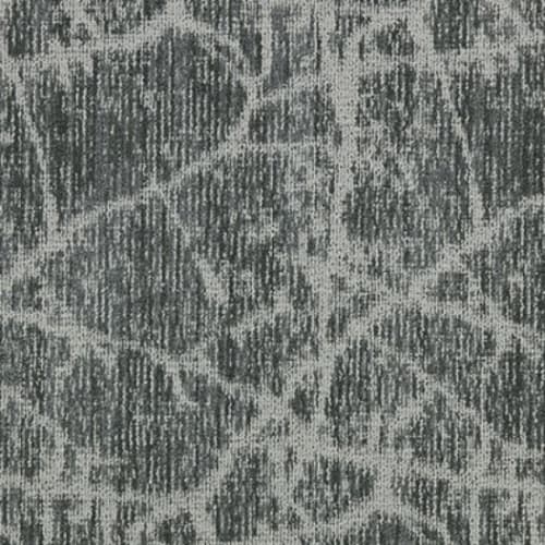 Canopy II