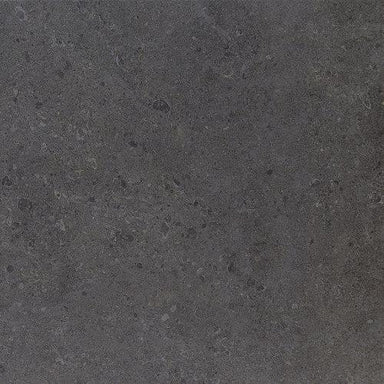 Dignitary in Governor Black 12x24 Tile