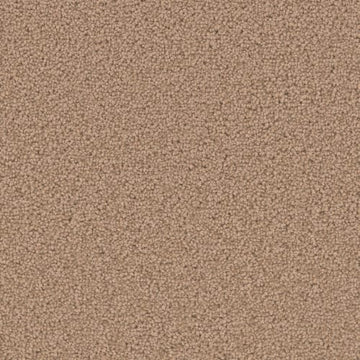 Honey Beige