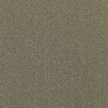 Pumice