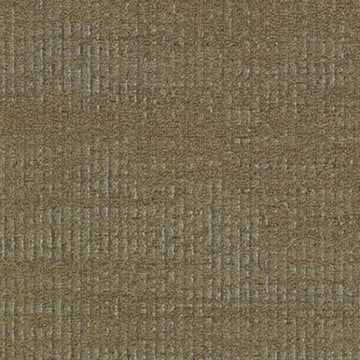 Alder