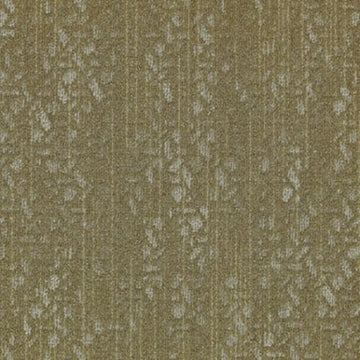 Ginkgo
