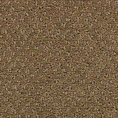 Greenwich Estate Flooring by Karastan