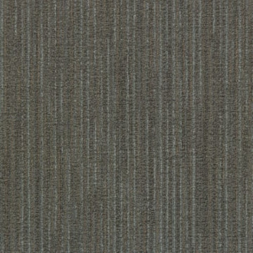 Acorn