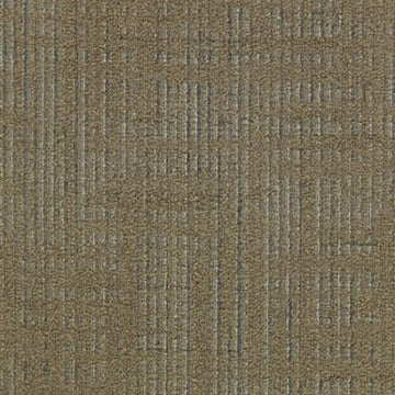Alder