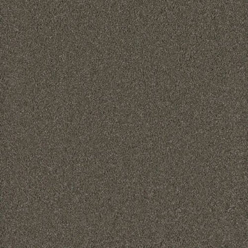 Riverbed