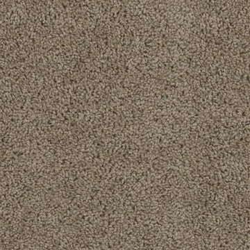 honey Beige